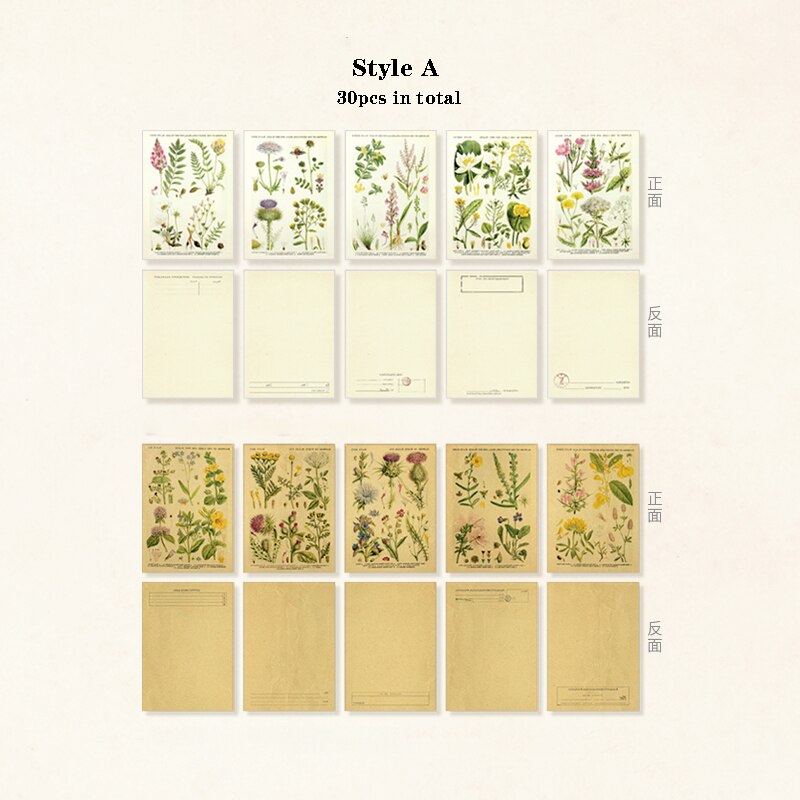Mr.Paper 30pcs/pack 8 Designs Plant Material Paper Diary Scrapbooking Diary Planner Decorative DIY Craft Paper Stationery