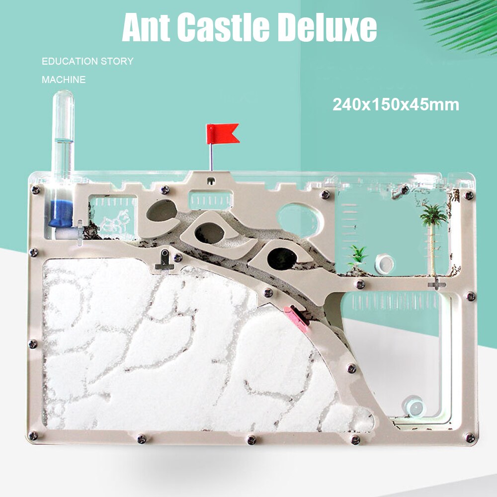 Fourmilière domestique souterraine, ferme fourmilière atelier fourmilière produits pour animaux de compagnie château de sable nid boîte acrylique
