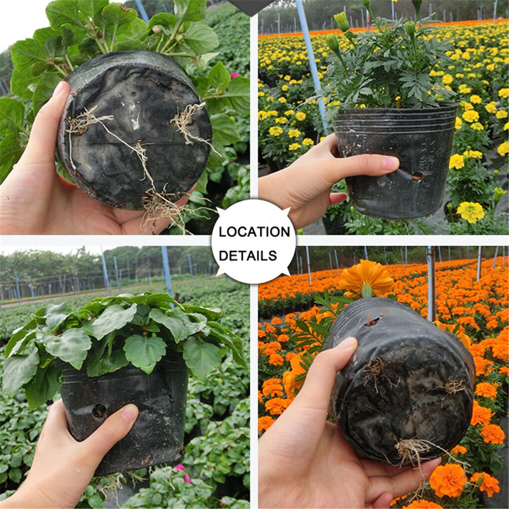 100Pcs Black Plant Potten Kwekerij Zaaien Potten Thuis Tuin Kwekerij Potten Kasplant Nursery Bloem Planten Zaailing Groeien Pot
