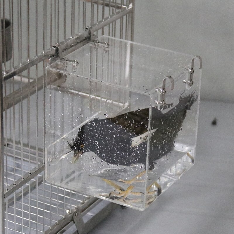 Firkantet fugl badekar bad bruseboks skål med kroge bur tilbehør til små fugle papegøjer crested myna