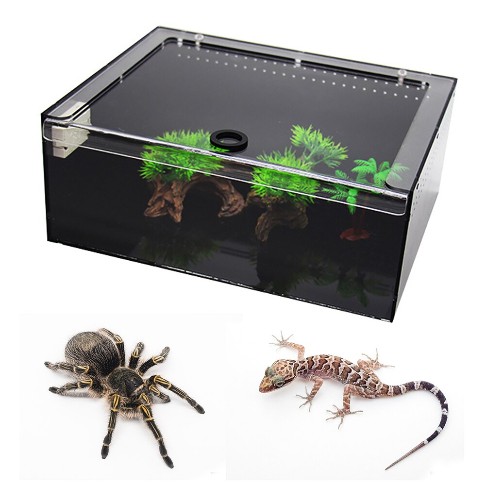 Tortoise Geckos Terrarium Rectangle Clear Front Top Acrylic Feeding Box Sliding Cover Insect Spider Reptile Breeding Tank Lizard