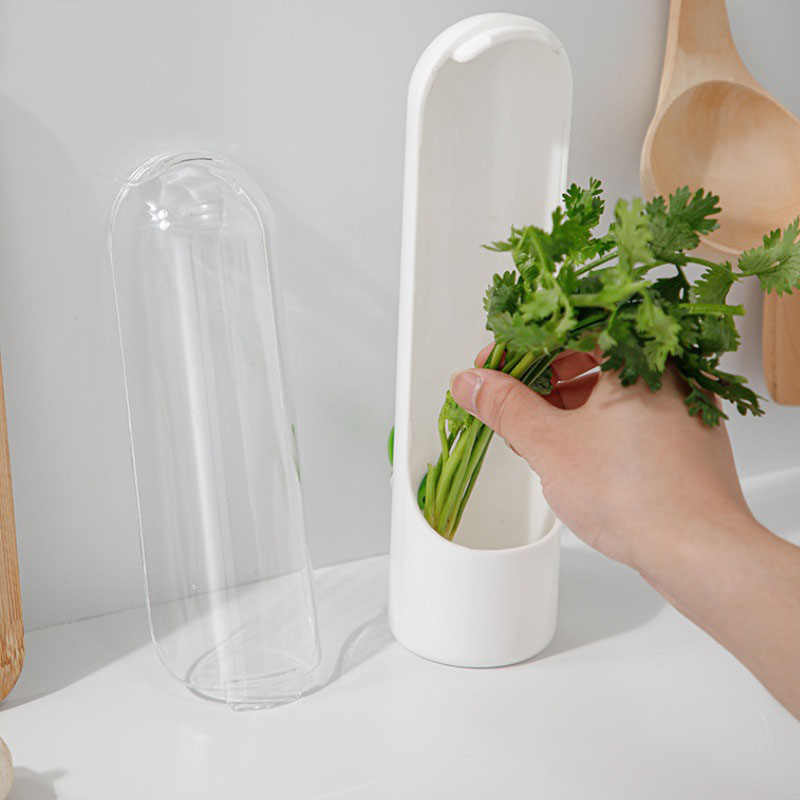Frigorífico, recipiente para verduras y hierbas, botella de conservación fresca, contenedor de almacenamiento ahorrador para el hogar, suministros de cocina