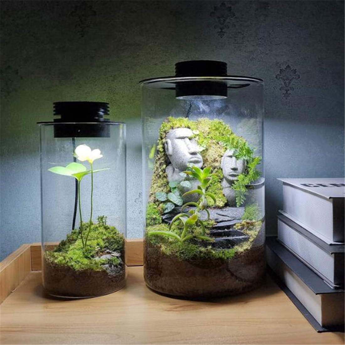 Lámpara de cultivo de plantas de terrario USB regulable con temporizador para jarrones, crecimiento de plantas de interior, paisaje de jardinería en miniatura suculento