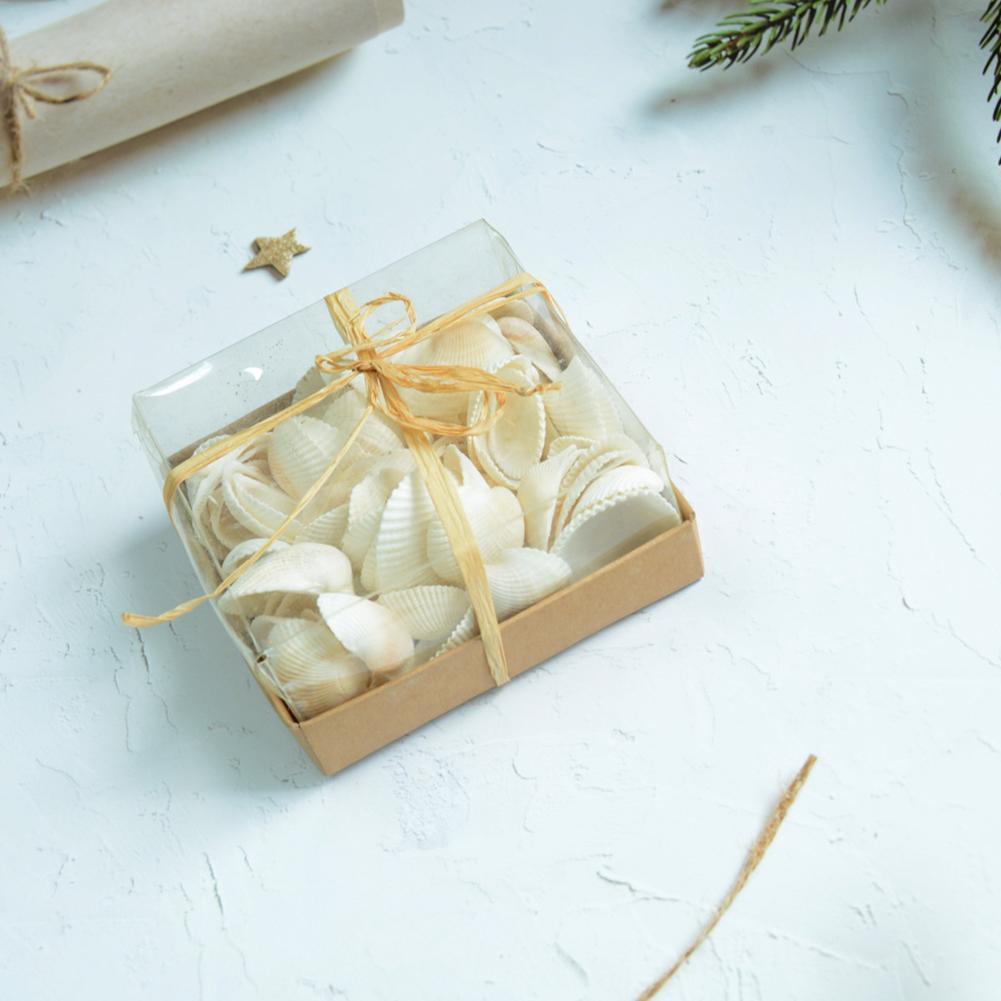 130g Natural White Clam Box DIY Home Decoration Pendant Crafts Marine Life Collection For Hotel Living Room Decor