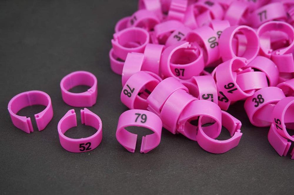 (Pack of 100 Pcs) ，(14mm) Bird Leg Bands Pigeon Chicks Duck Goose Parrot Bantam Poultry Pet Rings ，1-100 Numbered，Pink