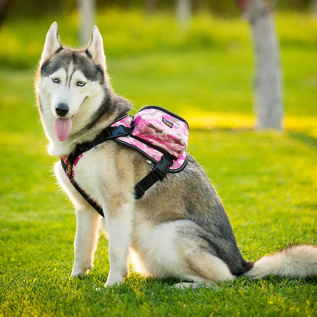 Haustier Hund Satteltaschen Pack hetzen Reise Camping Wandern Rucksack Sattel Tasche für Mittel groß Hunde: Rosa / XL