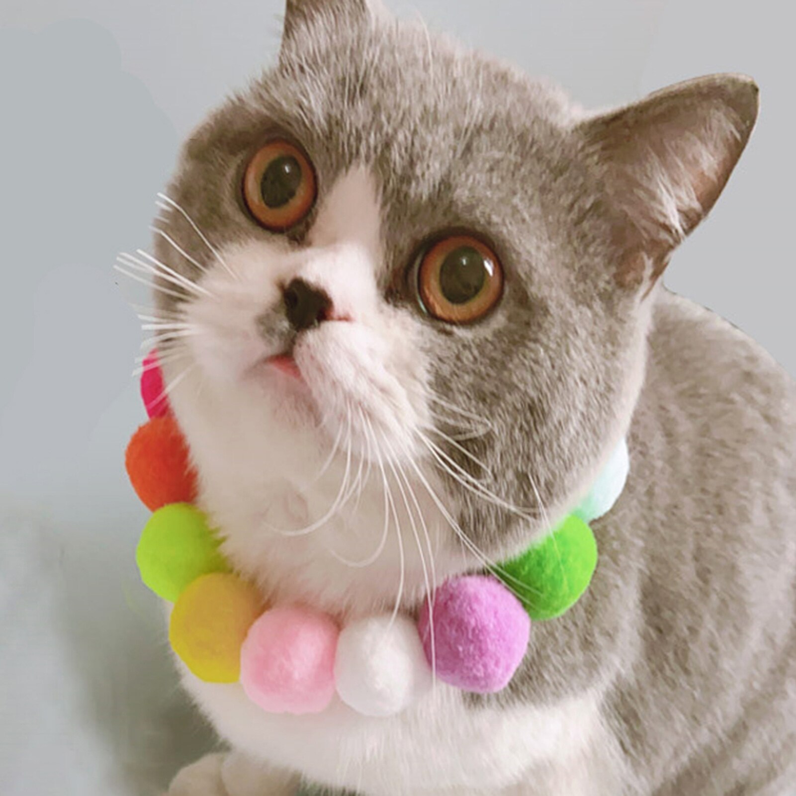 Katze Hund Kragen Neck Ring Niedliche Schal Bunte Plüsch Kugeln Strap Pet Fotografie Zubehör Katzen Halsbänder Perro Gatos Kot Dla kota