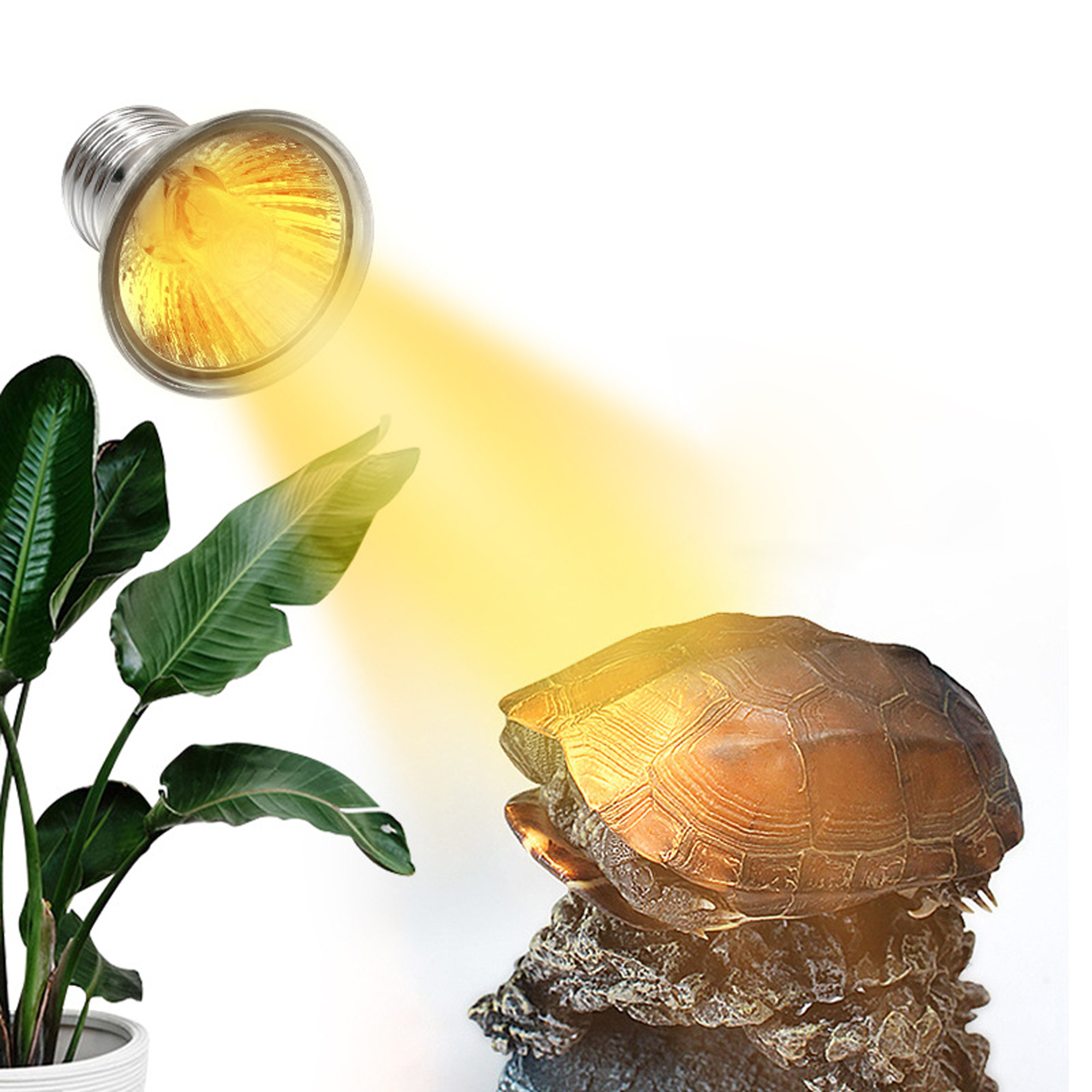 25/50/75W UVA + UVB 3,0 lámpara para reptiles bombilla tortuga tomar el sol bombillas de luz UV lámpara de calefacción anfibios lagartos controlador de temperatura 1 pieza