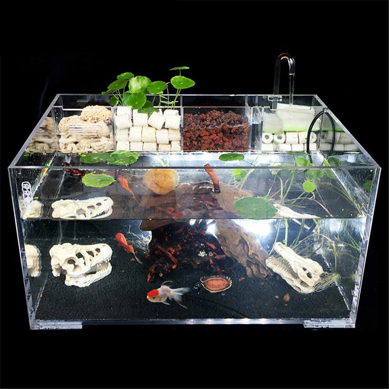1pc Climbing Pet Feeding Box Sturdy Transparent Spider Tank Amphibious Animal Tank Tortoise Tank for Spider