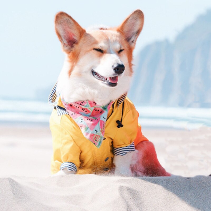 Chubasquero amarillo impermeable para perro, ropa Retro para mascotas, ropa para cachorros, chaqueta, suministros para mascotas