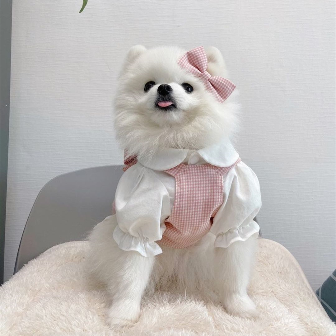 Jupe à carreaux rose pour animaux de compagnie, vêtements pour chiens et chats, Teddy Bichon, chiot