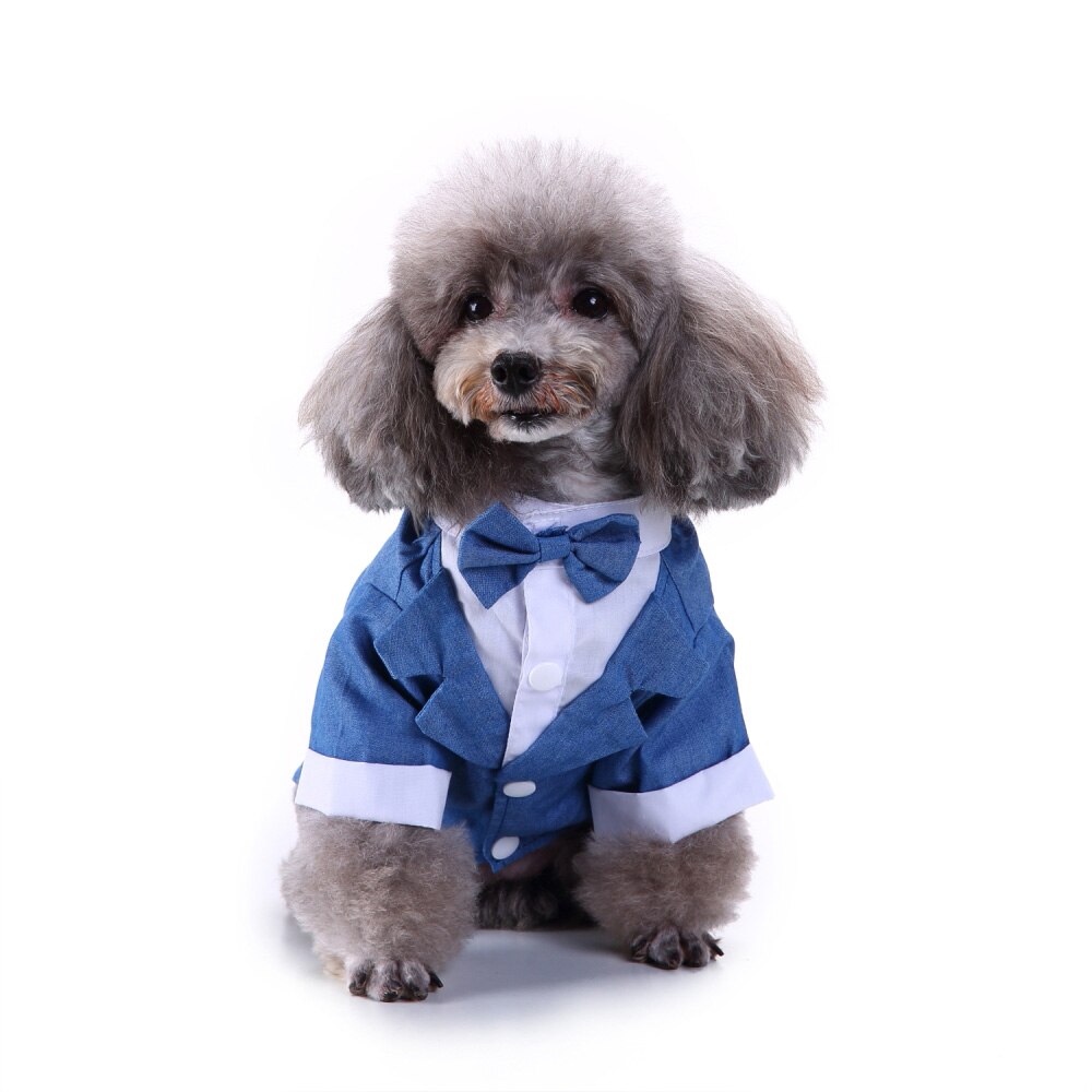 Gentleman kæledyr tøj hundedragt stribet smoking sløjfe bryllup festkjole til hunde halloween jule outfit kat sjovt kostume