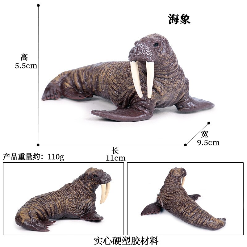 Simulatie Oceaan Dier Seal Zeeleeuw Walrus Model Action Figure Beeldjes Collectie Cognitie Educatief Childrens Toys: M-512