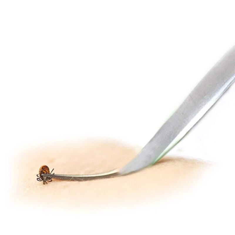 3 Pcs Durable Stainless Steel Tick Puller Point Clip Clamp Pet Deworming Tool for Dogs and Cats Health Cleaning