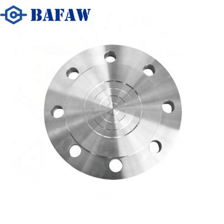 Stainless Steel Forged Flanges