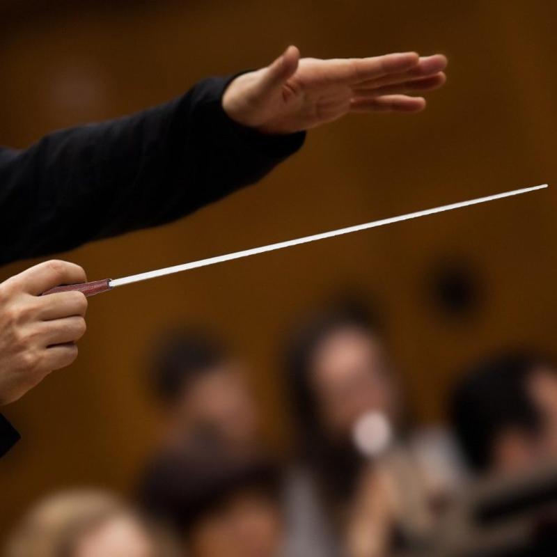 Guitar Music Conductor Multi-function 2x Music Conductor Baton Rosewood Handle Band Music Rhythm Director