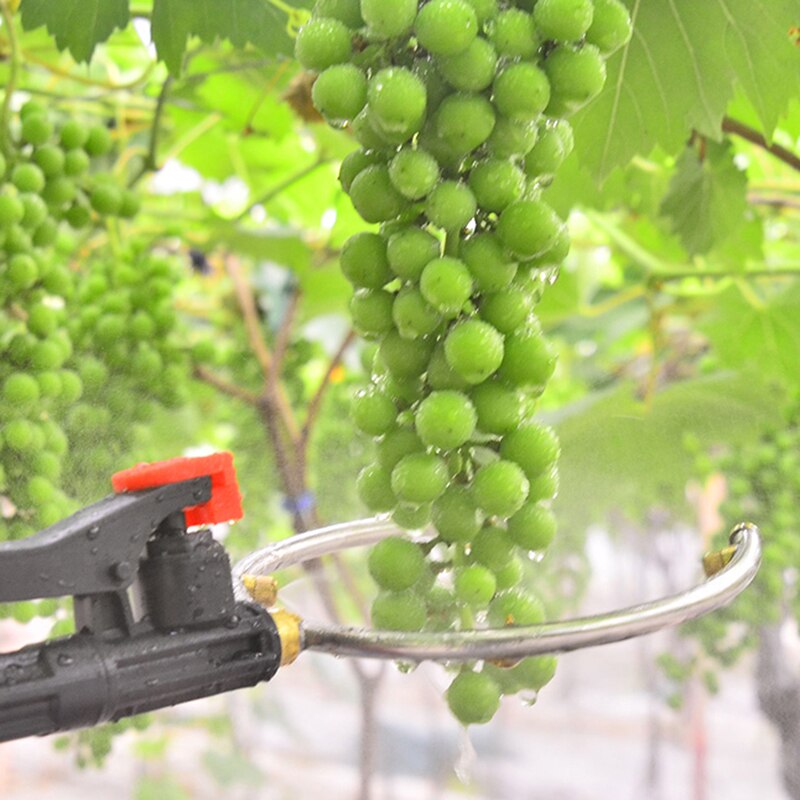 Pesticide Sprayer Grape Agricultural Fruit Promoting Tools Kiwi Swelling Raise Yield Ultra Fine Mist Nozzle High-Pressure