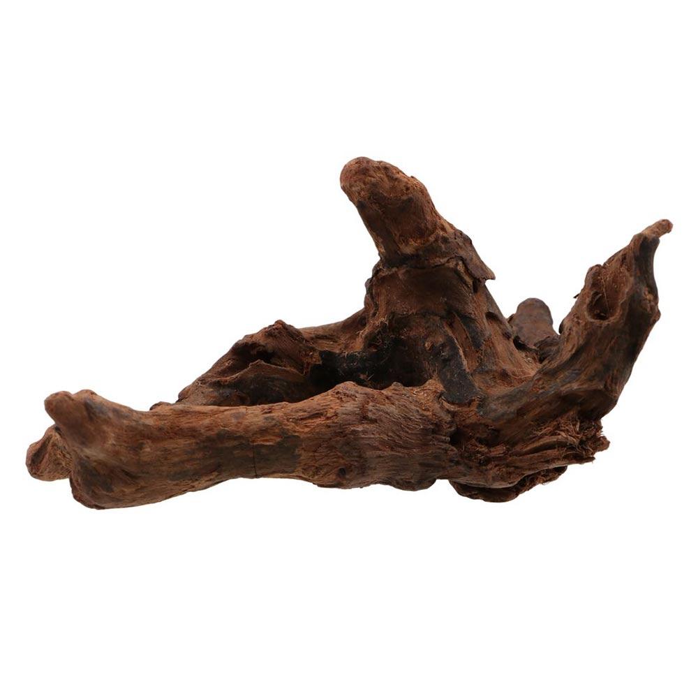 Irregular Shape Coral Wood Natural Wood Aquatic Plants Fish Tank Decoration for Aquarium