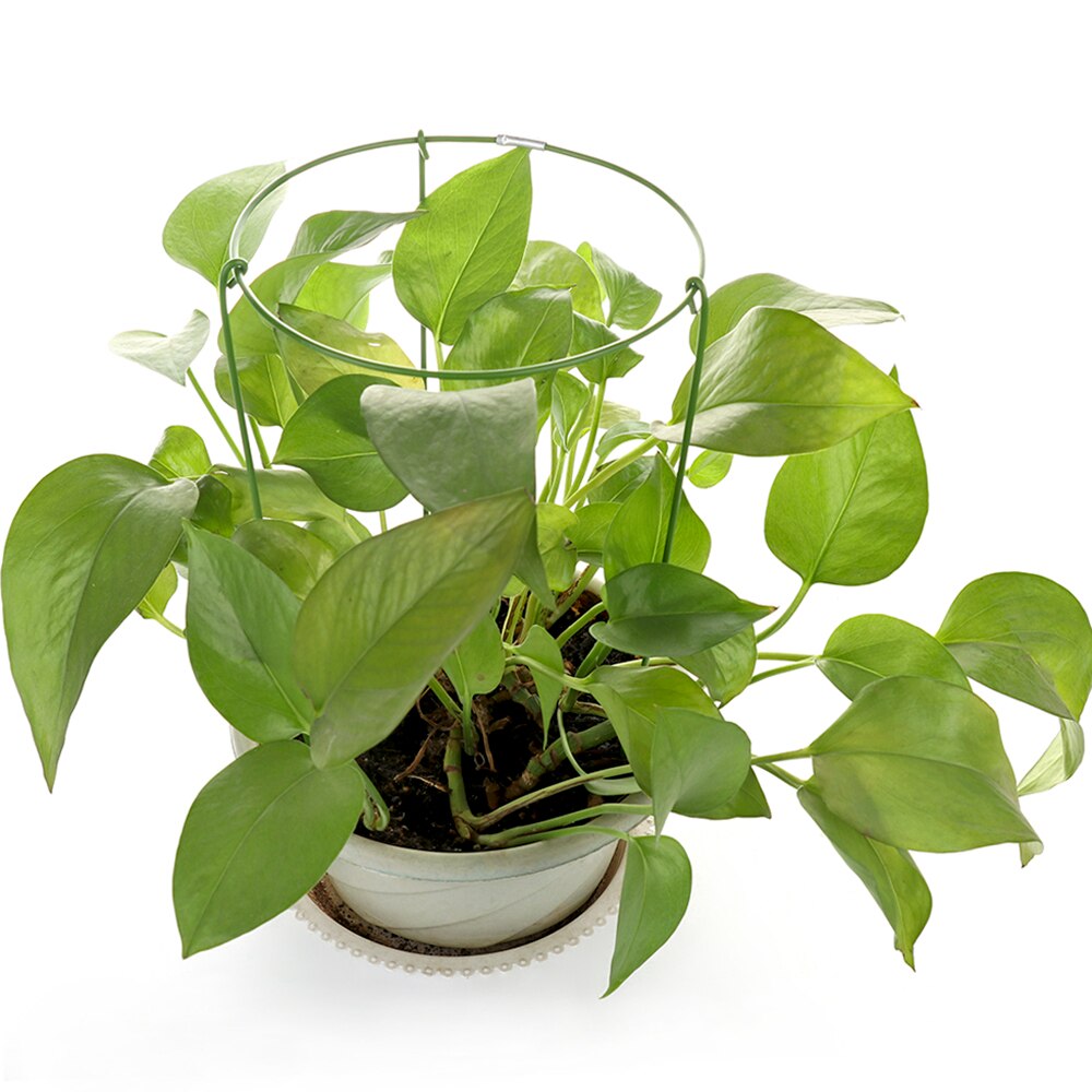 Plant Support Garden Stakes Plant Support Ring Large Garden Plant Support Rings