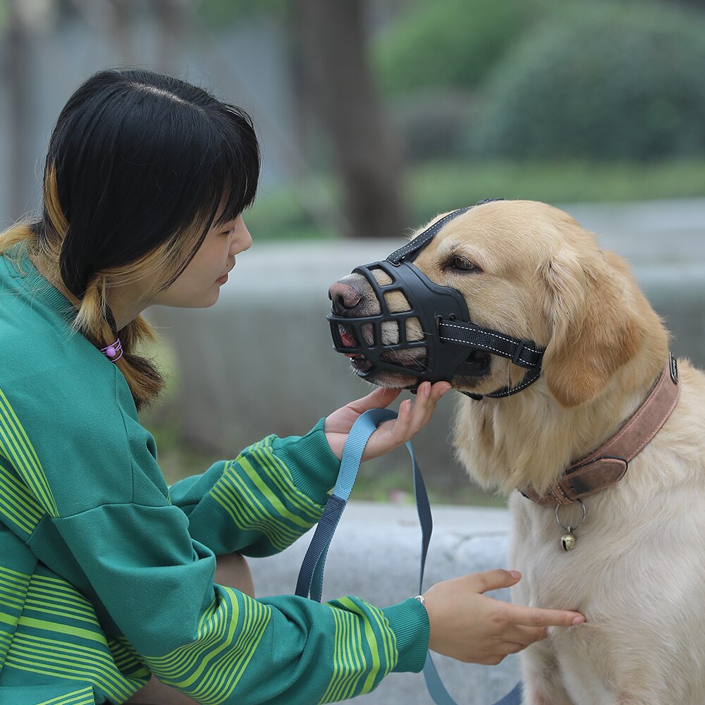 Hoopet Ademend Duurzaam Snuit Voor Grote Hond Corgi Alaska Masker Golden Retriever Aangelijnd Harnas Nylon Uitje Huisdier Mand Leverancier