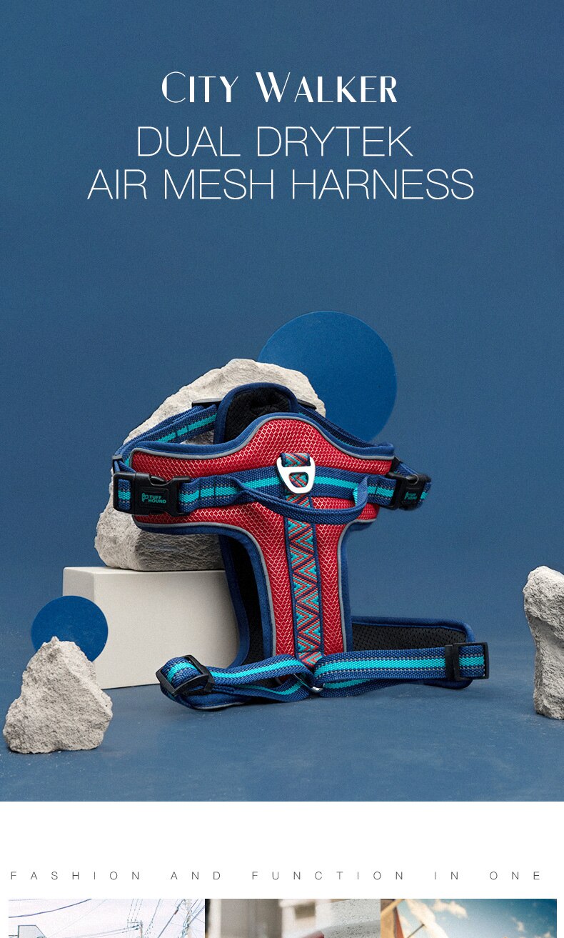 Dog chest strap Leash Dog chain Hyena rope Pet sup... – Grandado