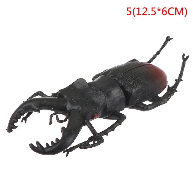 6 style 13cm simulation beetle Toys Special Lifelike Model Simulation insect Toy nursery teaching aids joke toys: 5