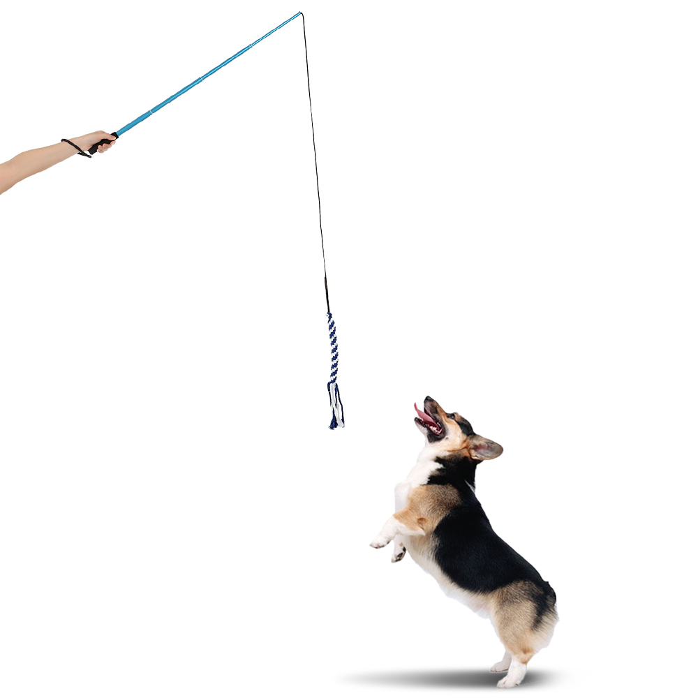 Sjov teaser hund træning legetøj udvidelig hund hvalp teaser pole wand udendørs interaktiv kæledyr hund træning træning reb legetøj