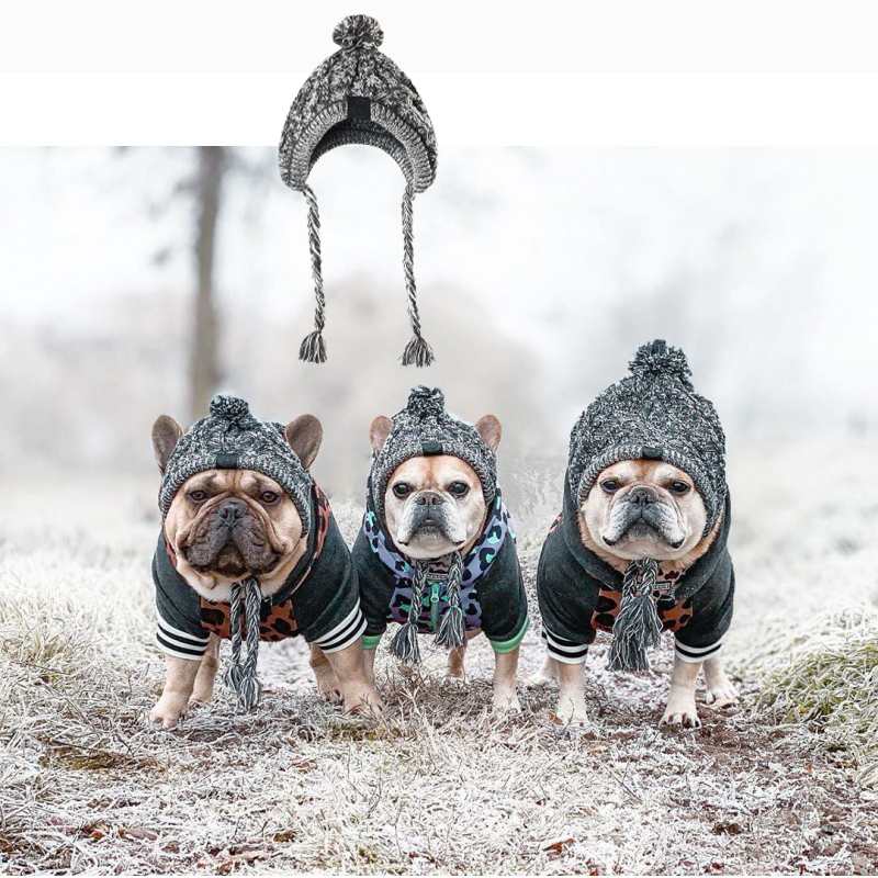 Pet Warme Muts Hond Wol Gebreide Hoofddeksels Kat Winter Outdoor Winddicht Gehoorbescherming Hoed Chihuahua Decoratie Puppy Accessoires