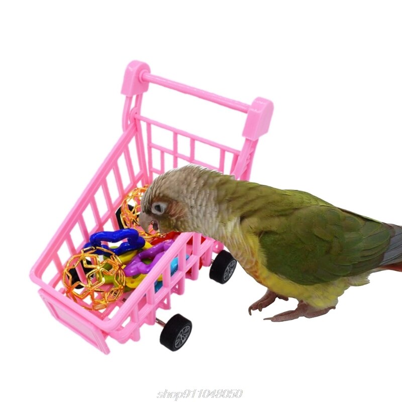 Parrot Bird Puzzle Training Toys Set Mini Plastic Shopping Cart Balls Five-pointed Star Circles Parakeets F09 21