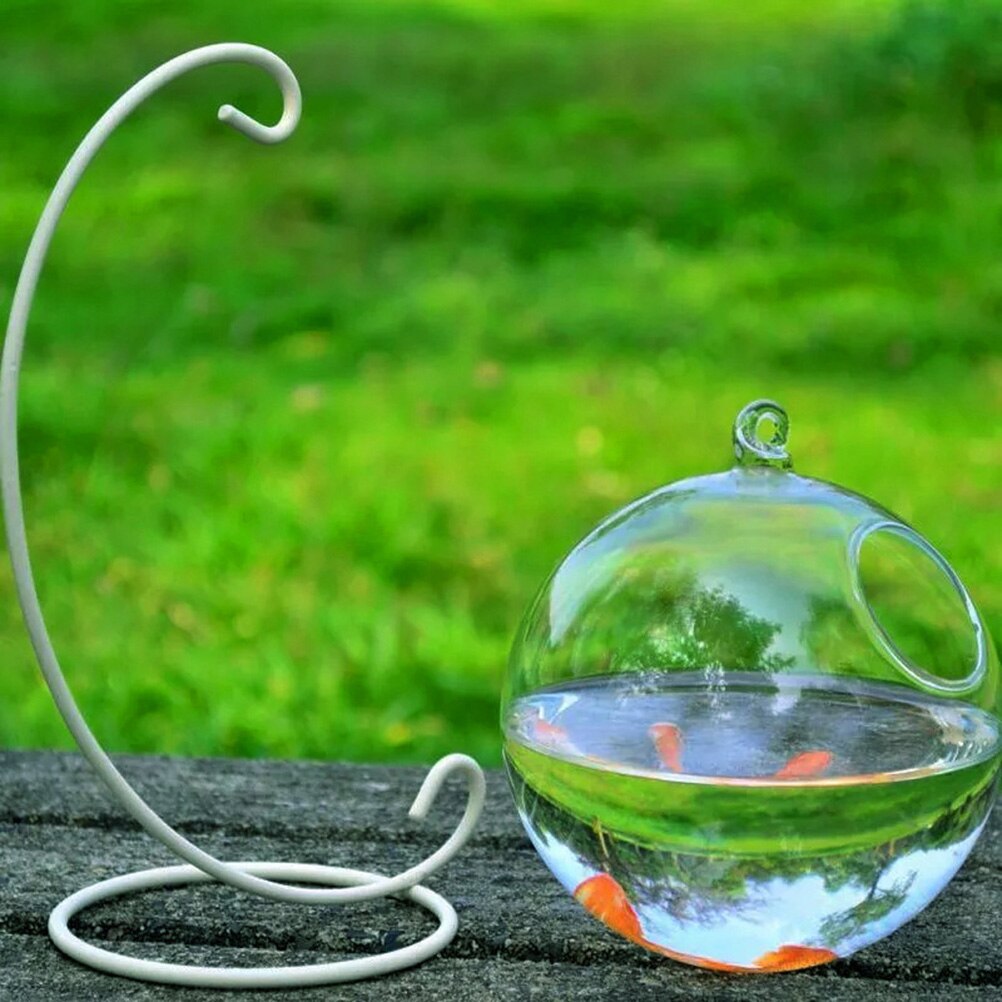 Bol à poissons d'aquarium en verre | Forme ronde suspendue, Aquarium réservoir de poissons, Vase à fleurs décoration de la maison 12cm de hauteur
