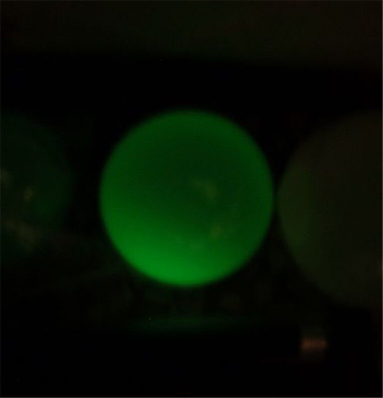 Dsjuggling Acrylic Juggling Contact Balls (2.95 Inch 75mm Color as Black, Glow, Purple): Glow
