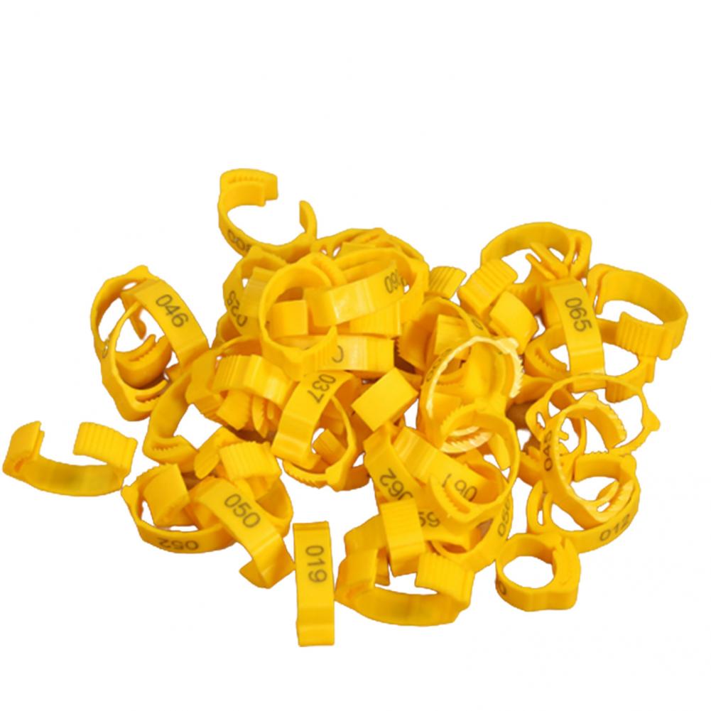 Wear-resistant 100Pcs Unbreakable Duck Chicken Foot Ring Smooth Surface Duck Leg Bands Flexible for Animal
