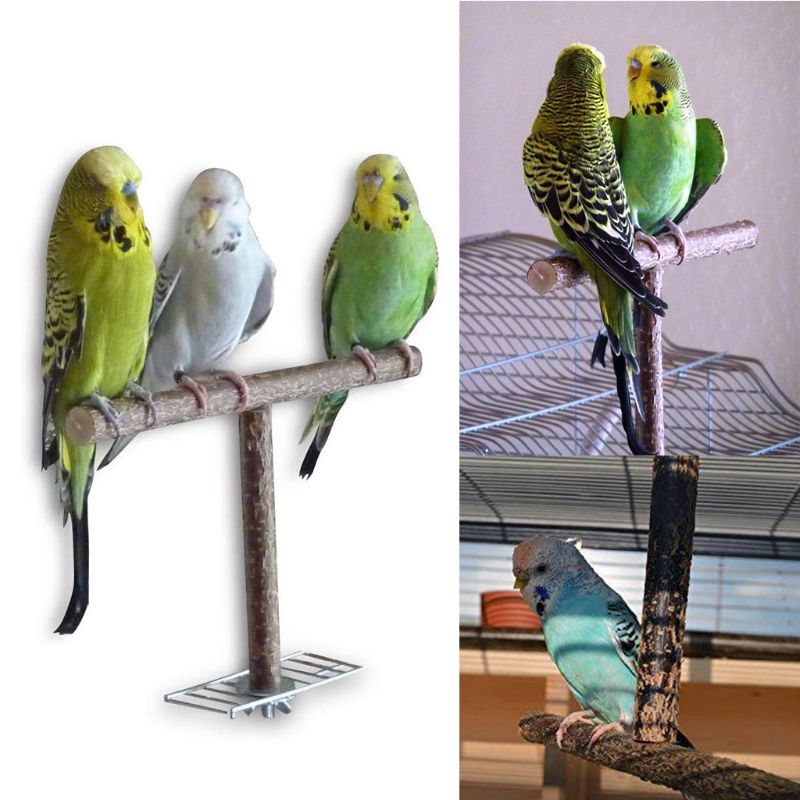 Fugle papegøje t form aborre slibning legetøjsbure træning tygge parakit træ stå legetøj fugle forsyninger