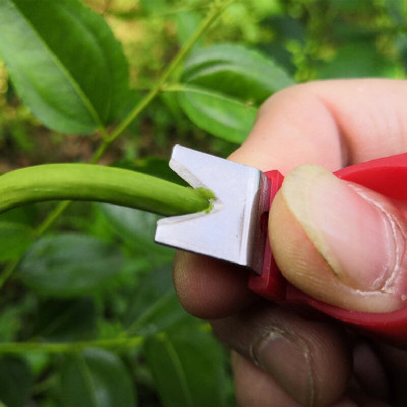 1PC Garden Pruner Fruit Picking Device Multifunction Thumb Knife Safe Fruit Blade Tool Cutting Blade Rings Finger Protector