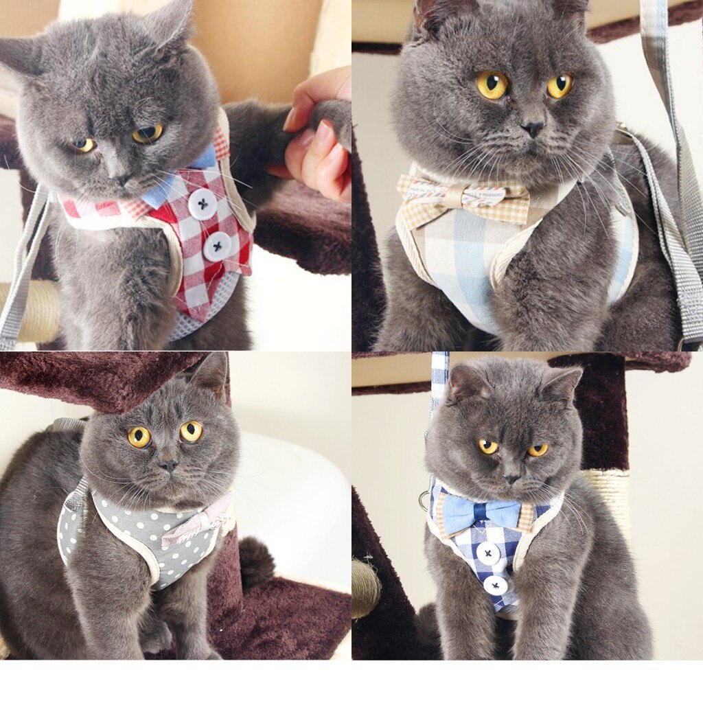 Breathable Dog Cat Harness Pet Mesh Puppy Kitten Vest Adjustable Pet Walking Harnesses and Leash Set For Chihuahua Small Dogs