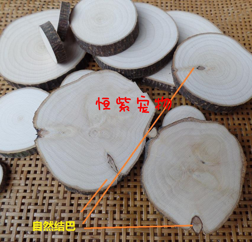 Nature Wood Bird Cage Accessories Wooden Parrot Perches Stand Platform Squirrel Hamster springboard Pet Parakeet Budgie Hanging