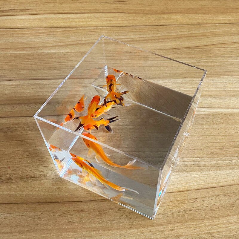 High Transparent Acrylic Desktop Separated Fish Tank for Betta Small Fish Open Aquarium Water Plant Tank Tortoise Tank