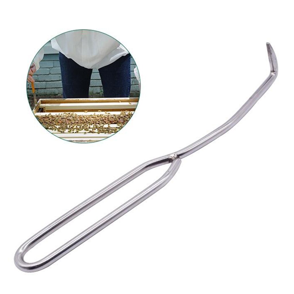 Beekeeping Needle Queen Rearing Grafting Tool Stainless Steel Grafting Tool Bee Hive Scraper Beekeeper - 10' / 24cm