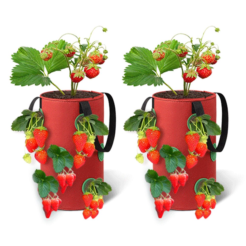 2Pcs 3 Gallons Strawberry Grow Bags for Plants Garden Pots Strawberry Bag Vertical Flower Herb Pouch Reusable Pot Planter Bags: Red