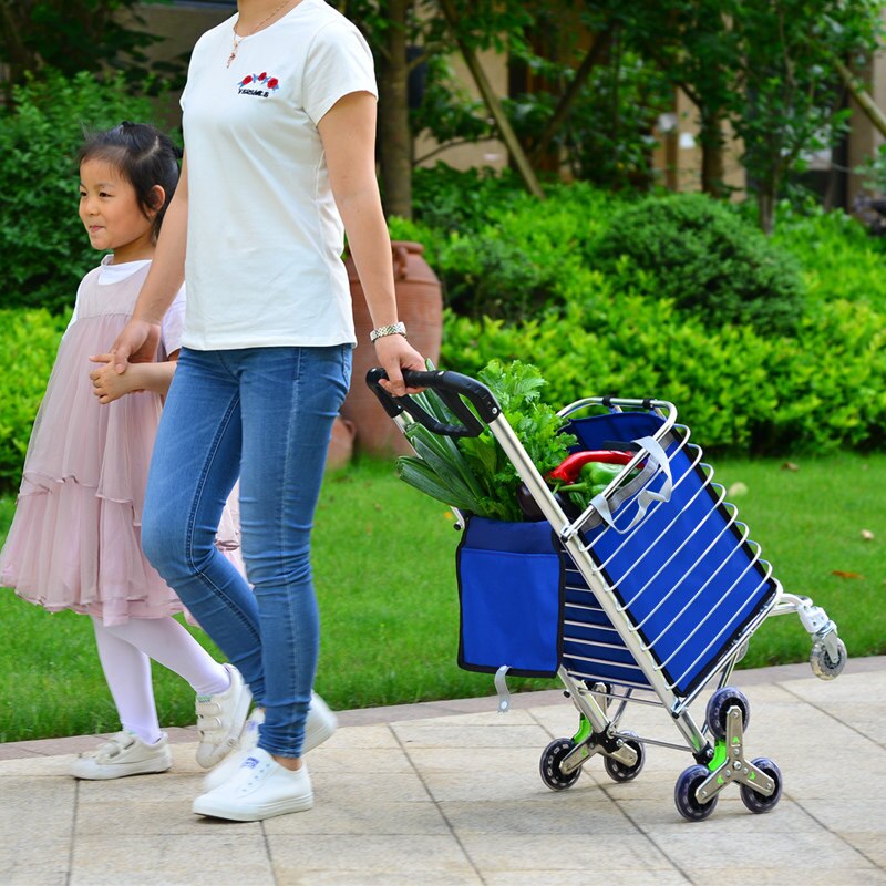 E-FOUR pliant panier Portable épicerie utilitaire léger escalier escalade chariot avec roues pivotantes roulantes sac violet