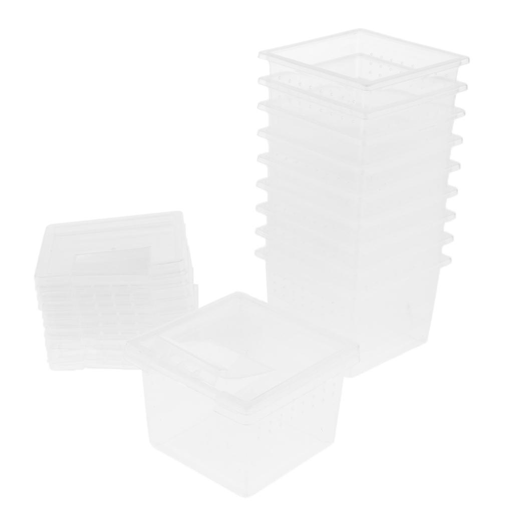 10 Pcs Insect Reptiel Spider Terraria Fokken Box Uitkomen Container