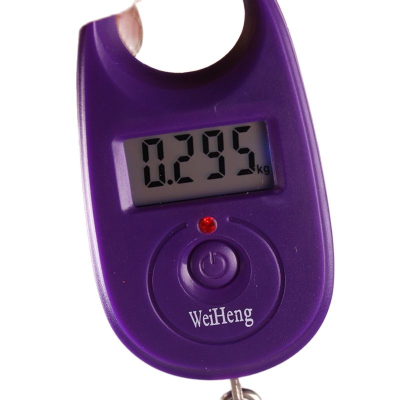 Mini Electronic Digital Scale pocket Portable LCD Weight Weighing Hand Held Balance Electronic Fish Hook Weigh Digital Scale
