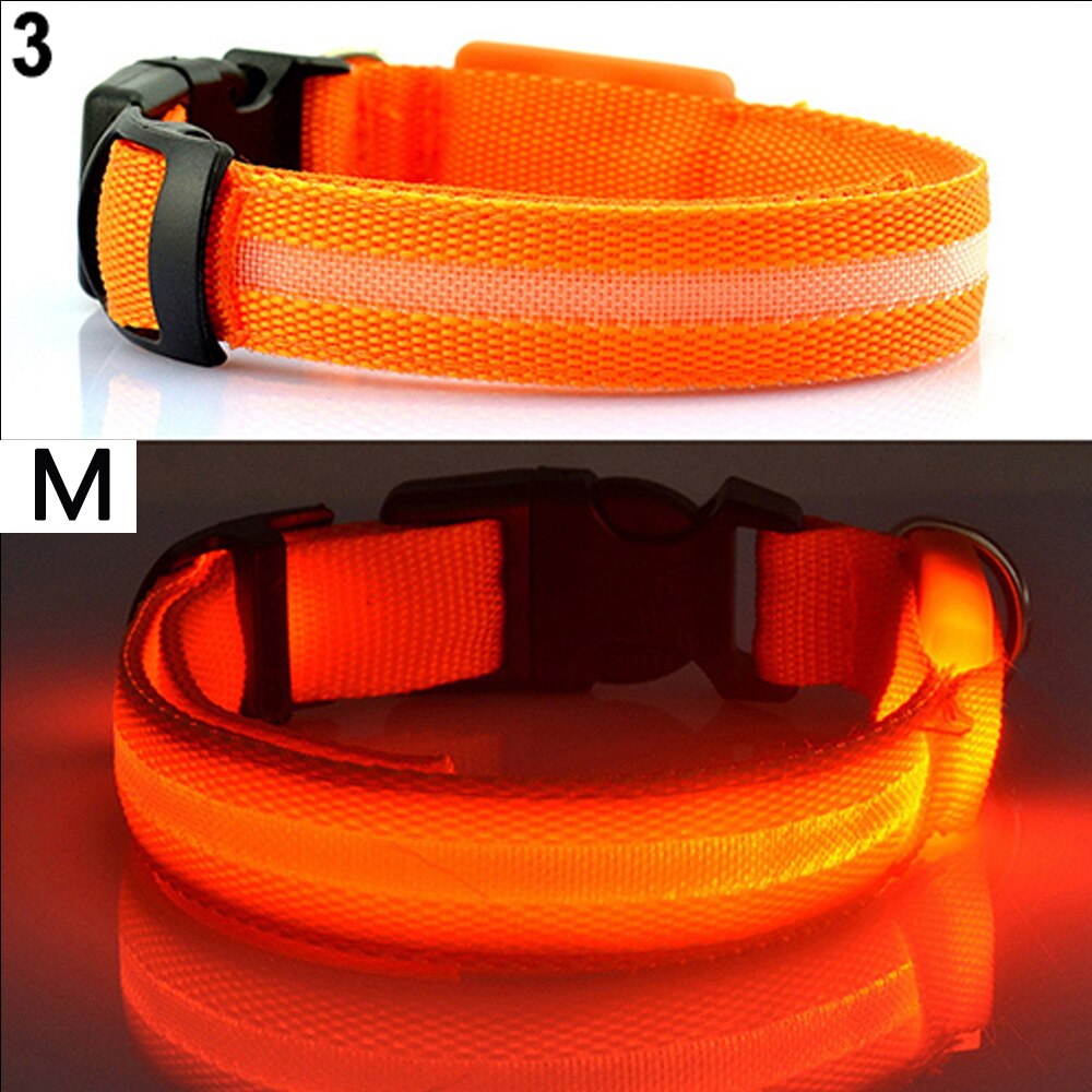 Led Veiligheid Halsband + 2 Batterijen Oplichten Huisdier Kraag Verstelbare Nylon Knippert Lichtgevende Ketting Puppy Anti-Verloren levert: Orange M