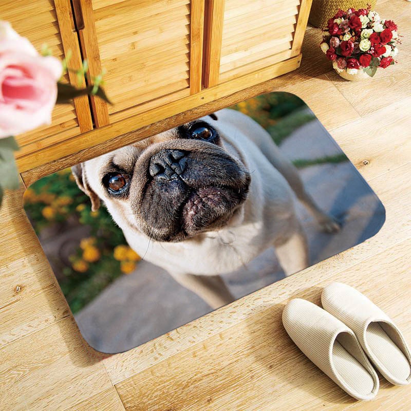 Adorkable Pug dogs printed doormat Entrance floor mats soft door mat antislip 40x60cm Bathroom Mats, Canis lupus familiaris QX