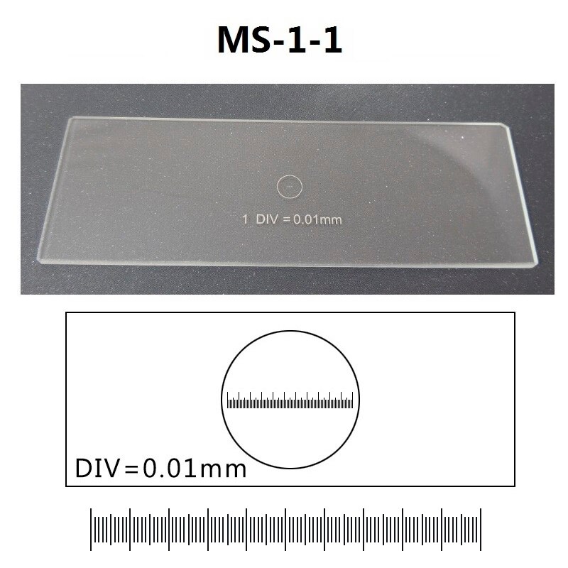 Microscope Calibration Microscope Glass Slides Ret... – Grandado