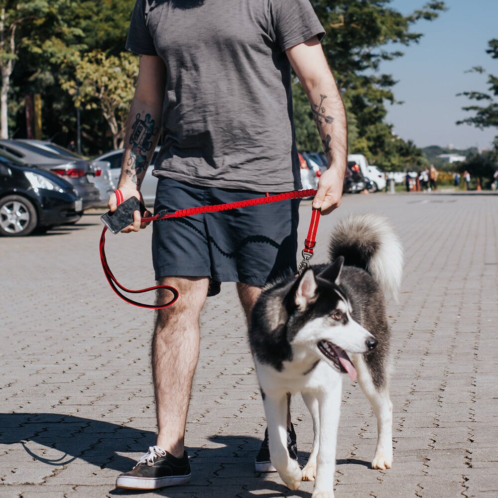 Airuidog jatkettava nylon pitkä koiran hihna vahva raskaaseen käyttöön kaksoiskahva vahva koiran hihna