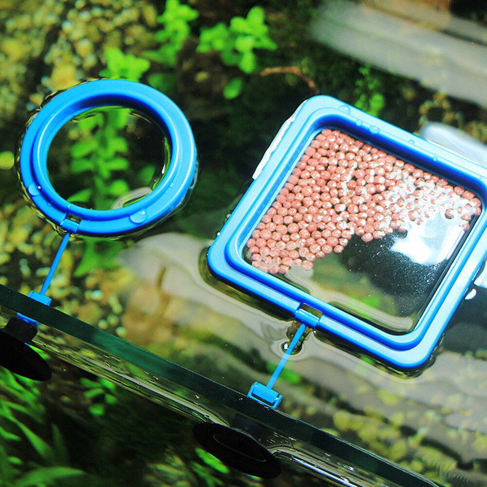 Aquarium Feeding Ring Fish Tank Station Floating Food Tray Feeder Square Circle Accessory Water Plant Buoyancy Suction Cup