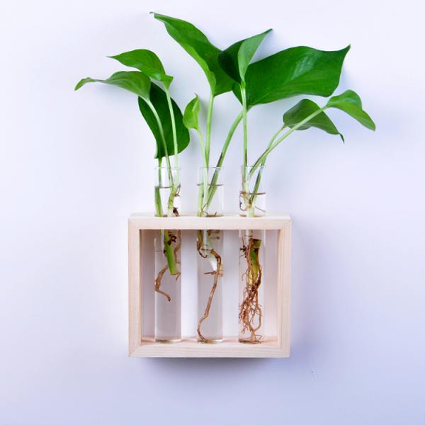 Glas reagensglas vase træramme - væghængende krystal hydroponisk beholder terrarium til blomster planter potte boligindretning
