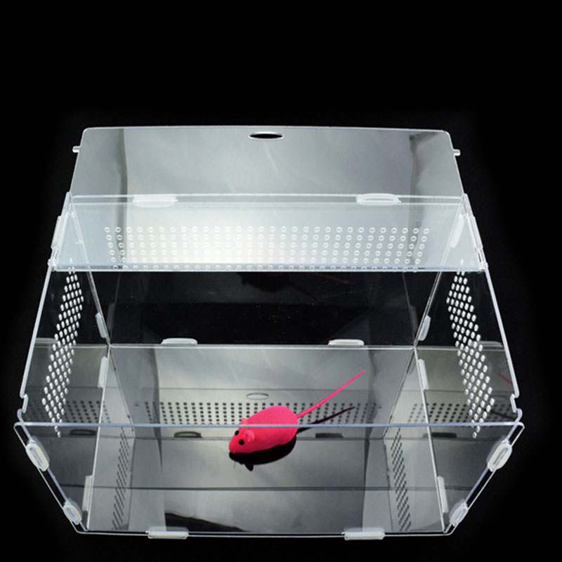 Transparent Acrylic Reptile Box for Spiders Tortoise Lizard Breeding Insect Box Vents Sliding Small Pet Terrarium Vivarium