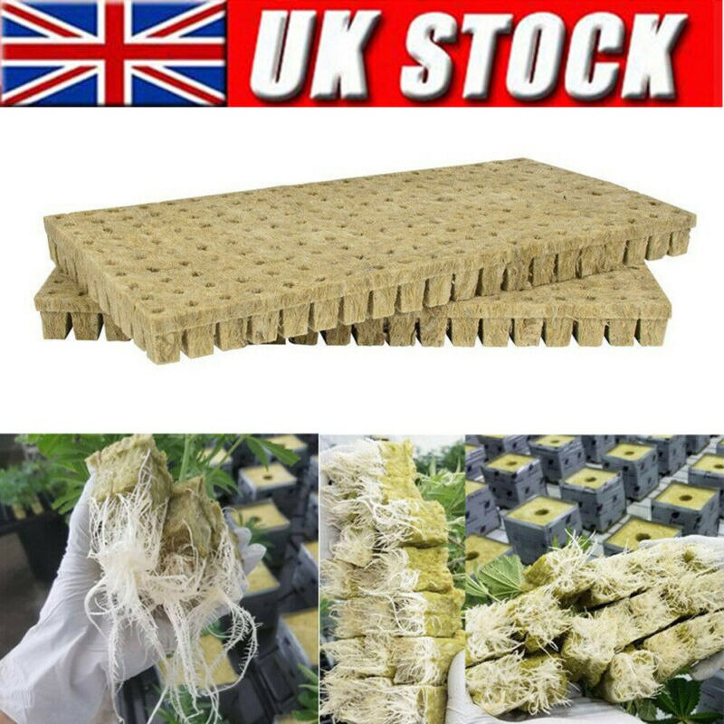 Grodan 25mm SBS Rockwool Sheet Block Propagation Grow Cubes Tray Cloning Seed Raising Hydroponics 49/98 Plugs UK